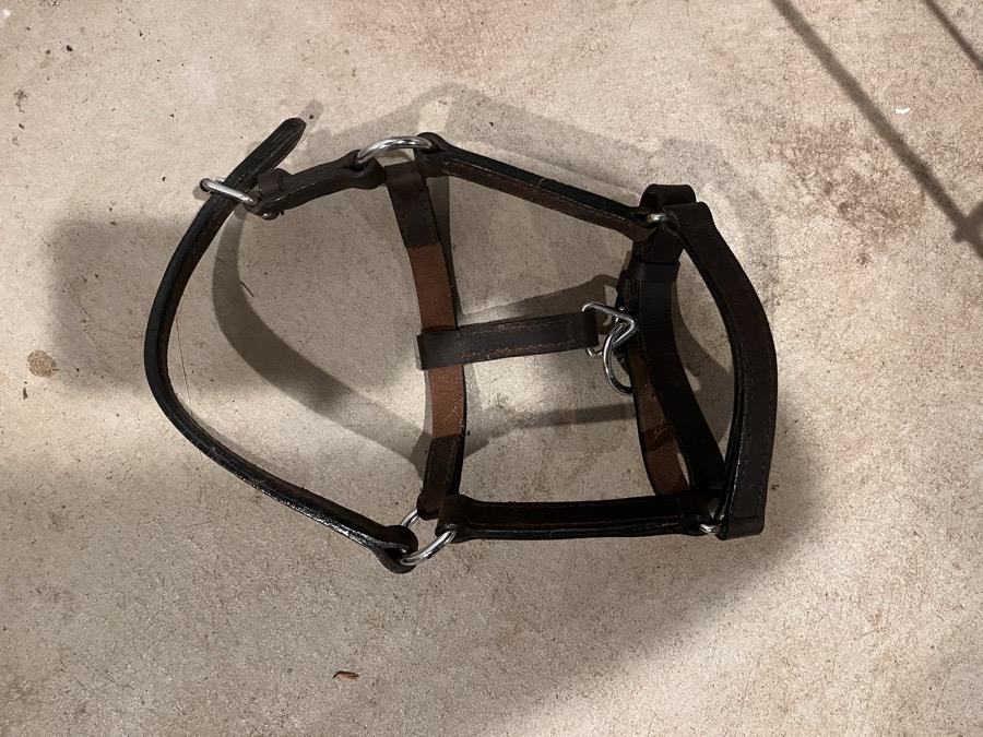WEAVER LEATHER Halter/Rope Shetland