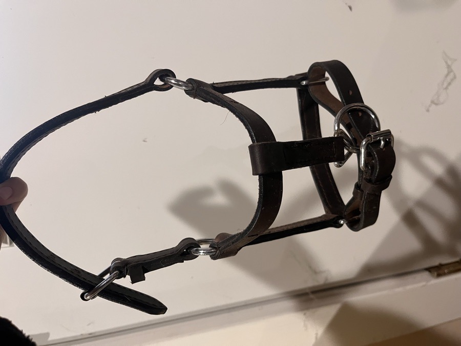 WEAVER LEATHER Halter/Rope Shetland
