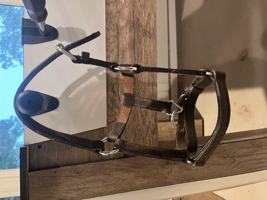 WEAVER LEATHER Halter/Rope Shetland