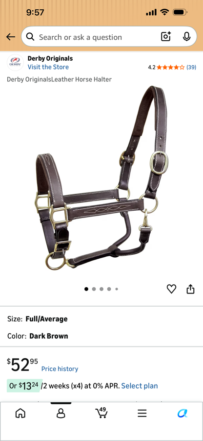 Derby Originals Halter/Rope Horse