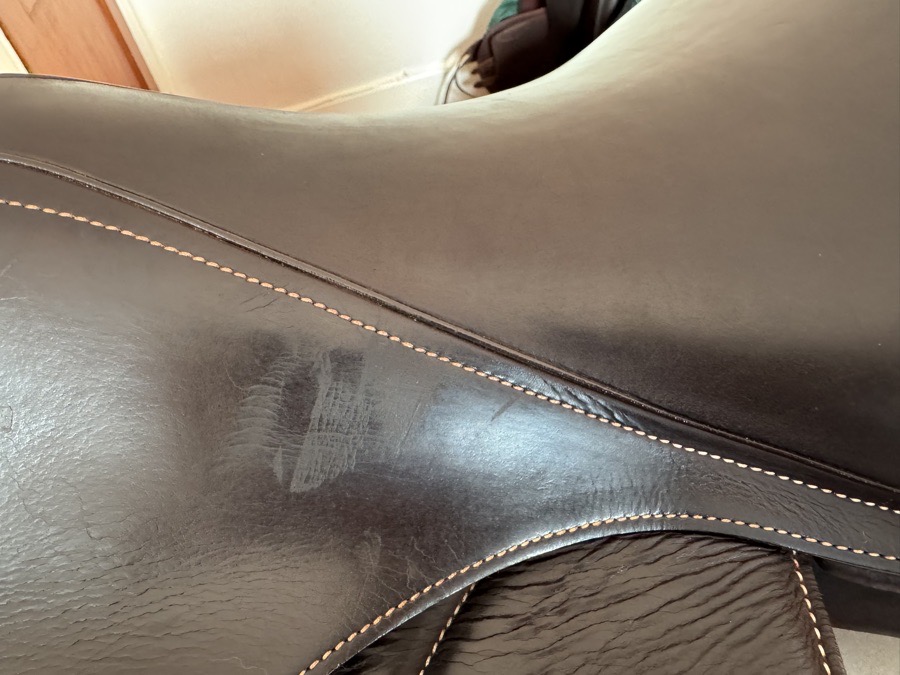 18” 2021 Voltaire Palm Beach PRO Saddle - 3A - Full Buffalo