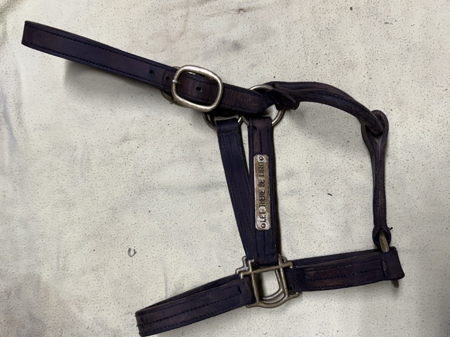 OS/XF leather halter