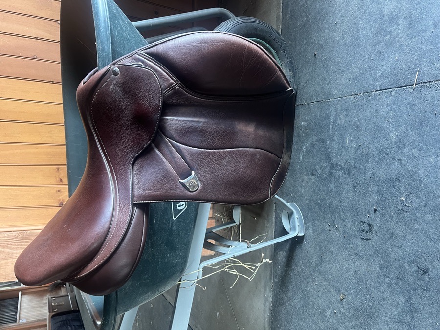 BATES | 18" | 4.5" Tree Size | 2024