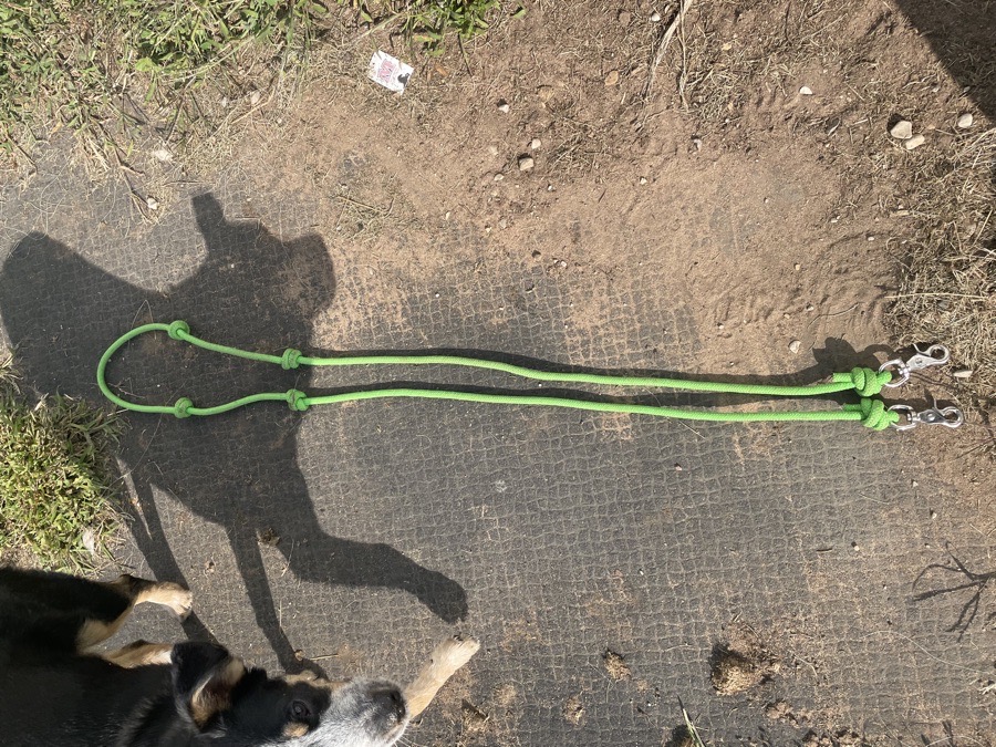 Barrel reins with knots