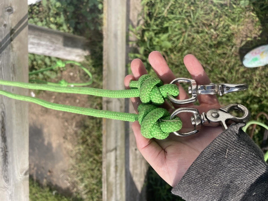 Barrel reins with knots