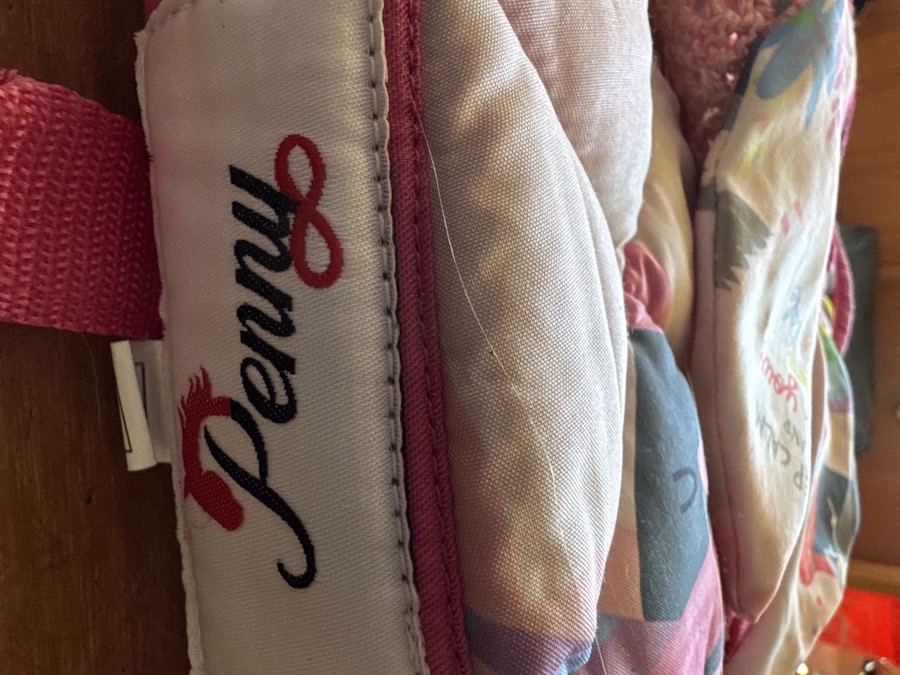 Fun dressage saddle pad!