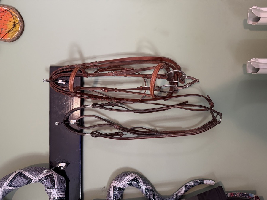 OVATION Bridle and Breast plate 