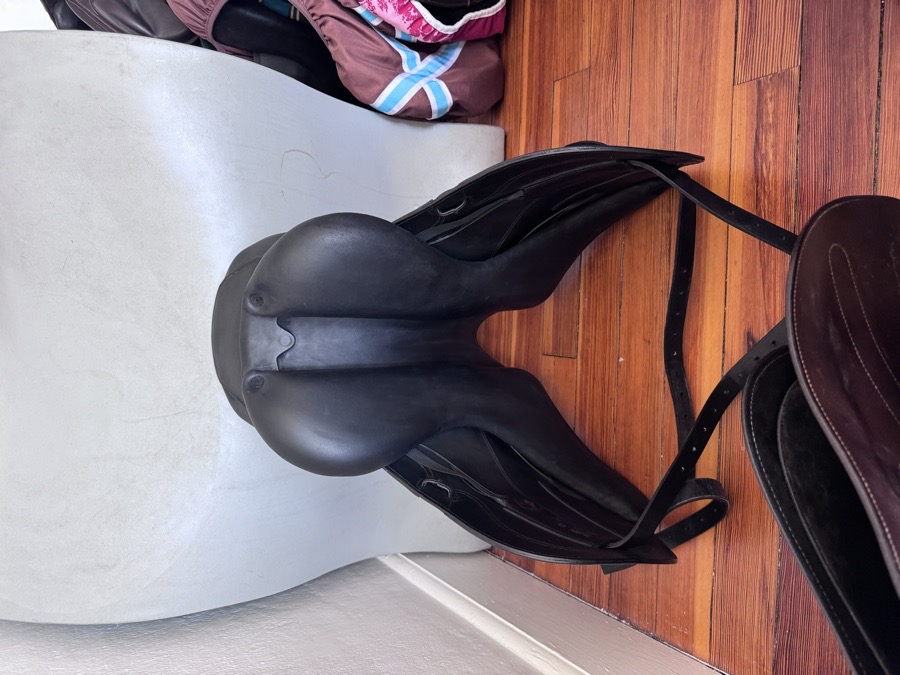 17.5” 2023 CWD SE37 Dressage Saddle - 1XLA - Full Buffalo!