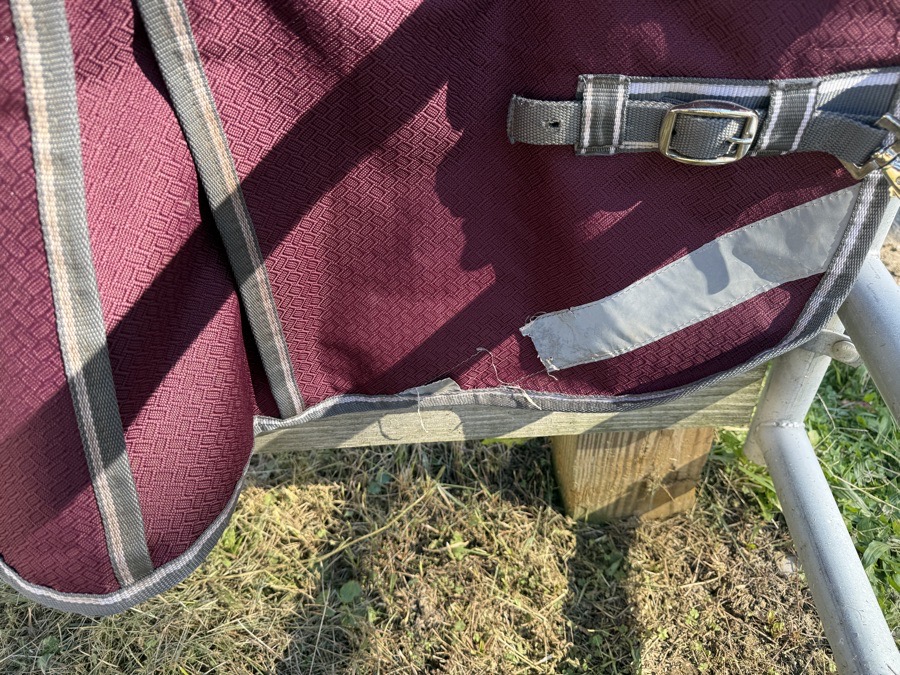 WEATHERBEETA Comfitec Light/Mid Weight Turnout Blanket