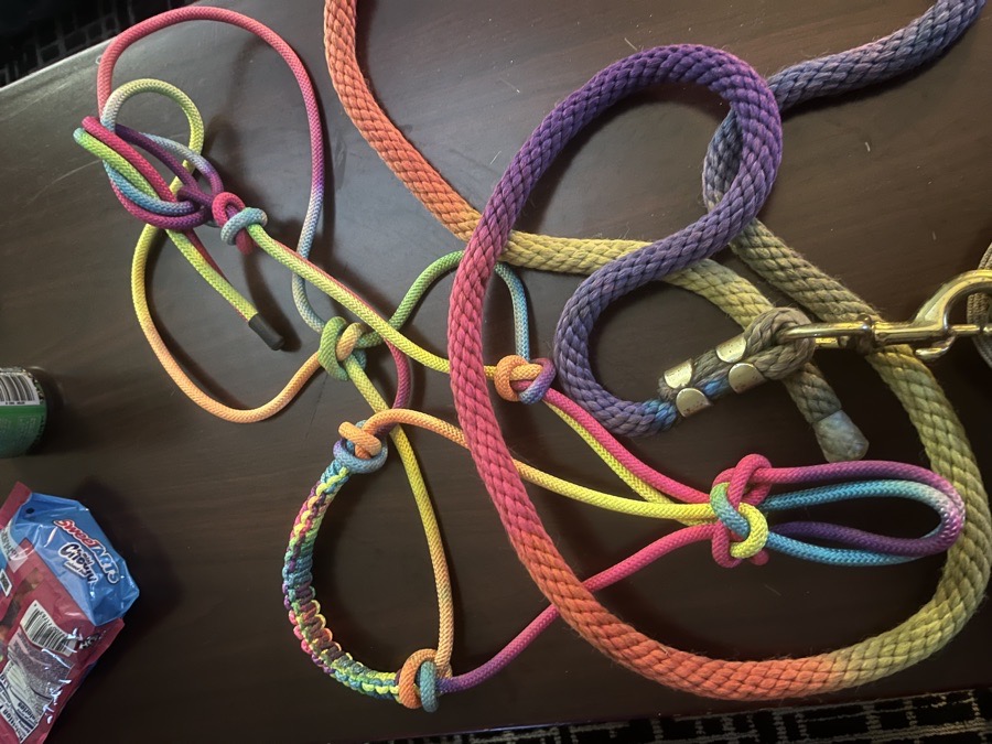 Rainbow rope halter 