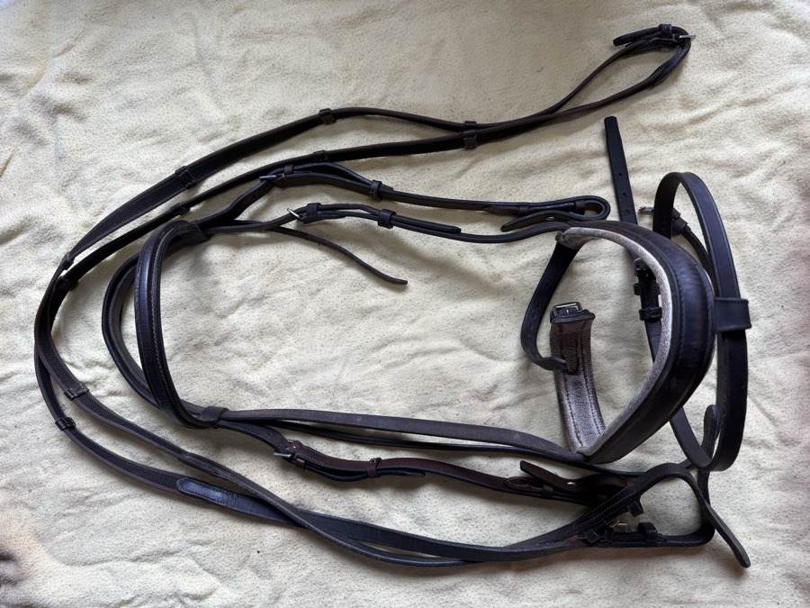 brown flash bridle with reins
