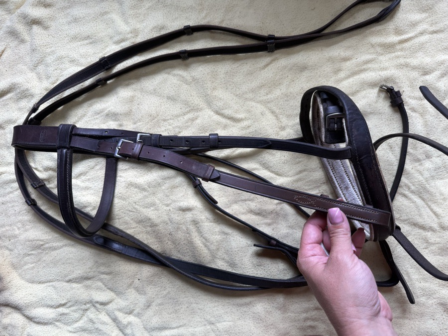 brown flash bridle with reins