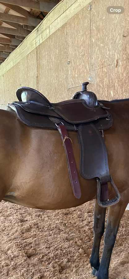 17” Western Trail/Pleasure Saddle