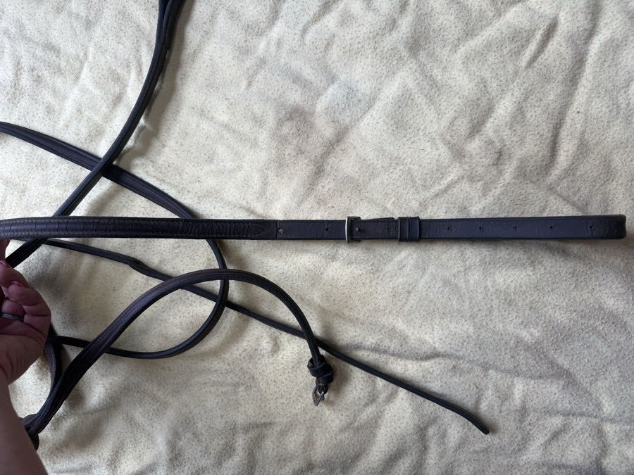 Oversized Standing Martingale