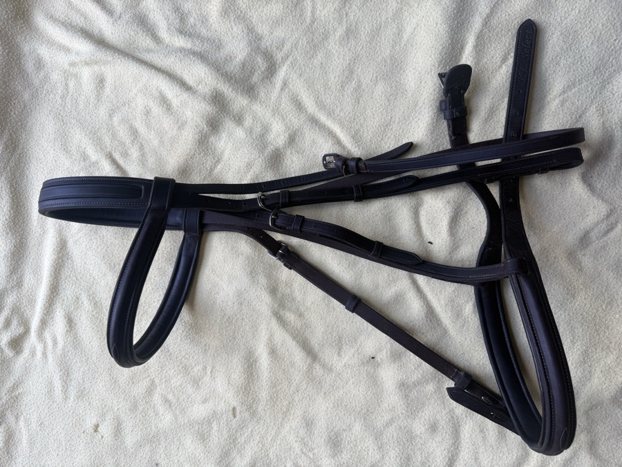 KL Select hunter bridle