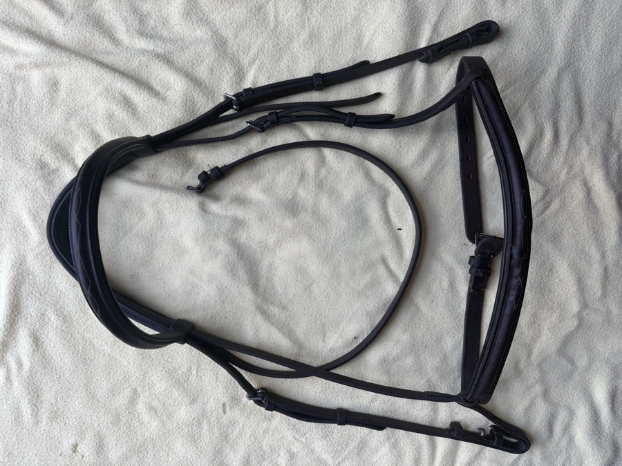 KL Select hunter bridle