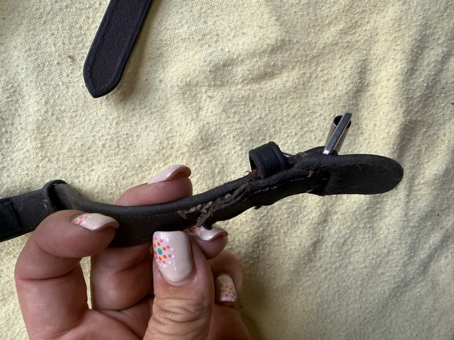 KL Select hunter bridle