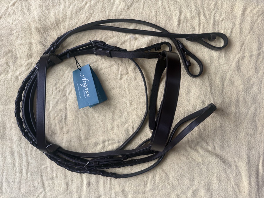 SHIRES Pony hunt bridle