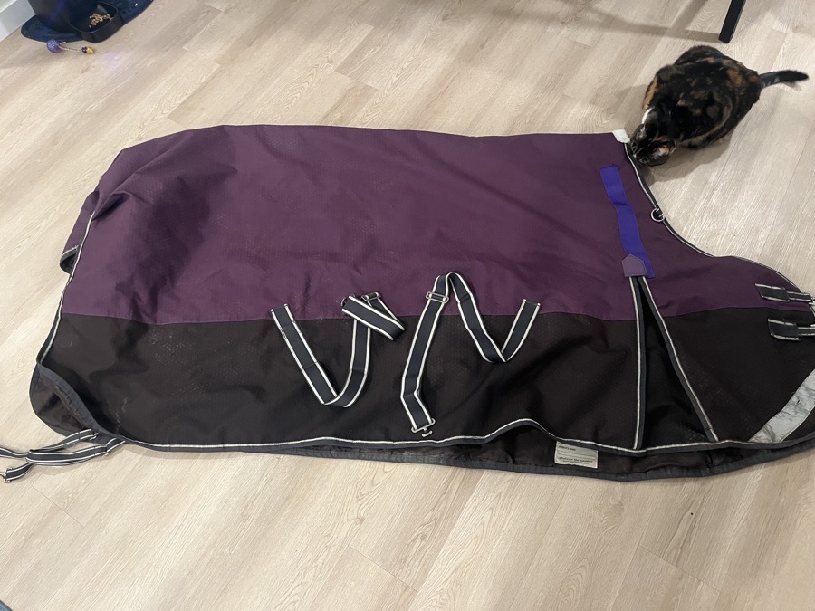 Weatherbeeta comfitec plus medium weight