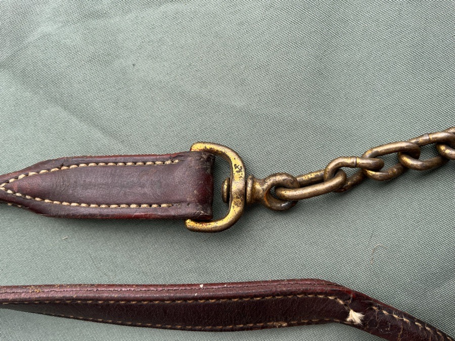 Leather Halter with Chain Lead 