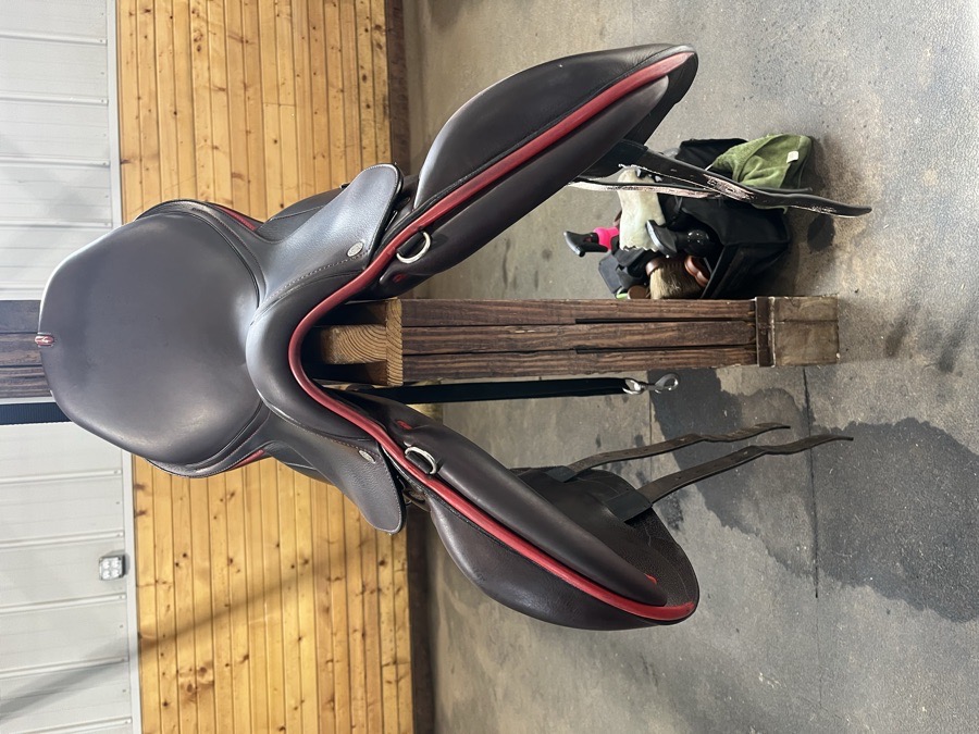 EQUIPE | 18" | 5.5" Tree Size