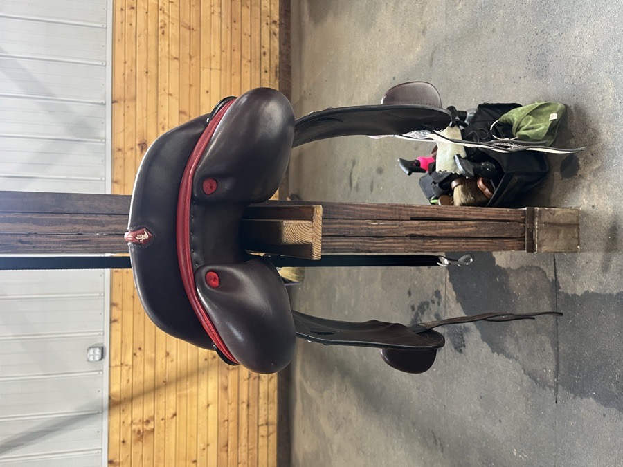 EQUIPE | 18" | 5.5" Tree Size