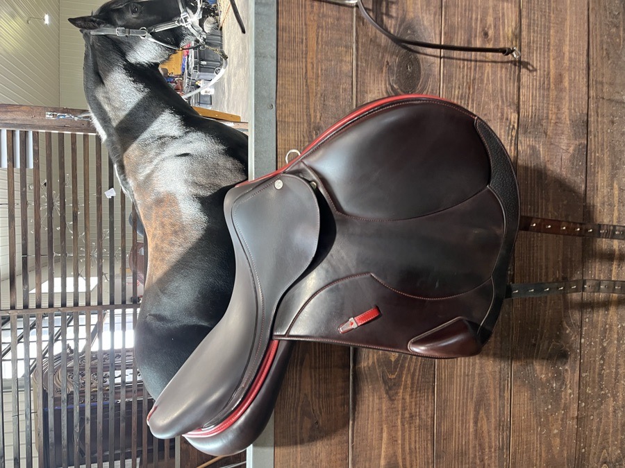EQUIPE | 18" | 5.5" Tree Size