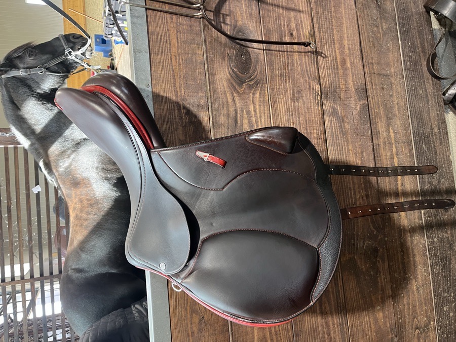 EQUIPE | 18" | 5.5" Tree Size