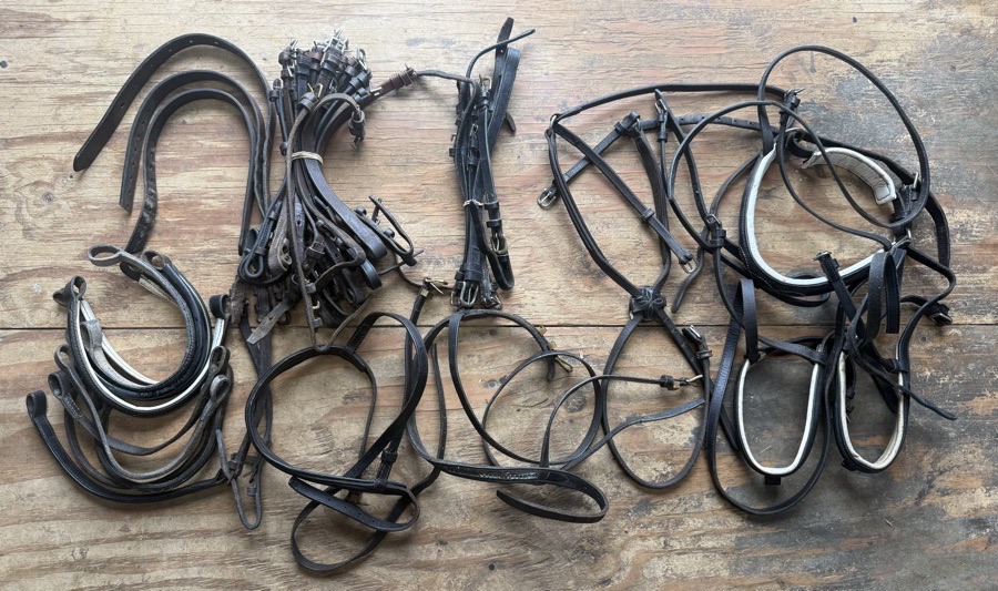 Bridle part lot