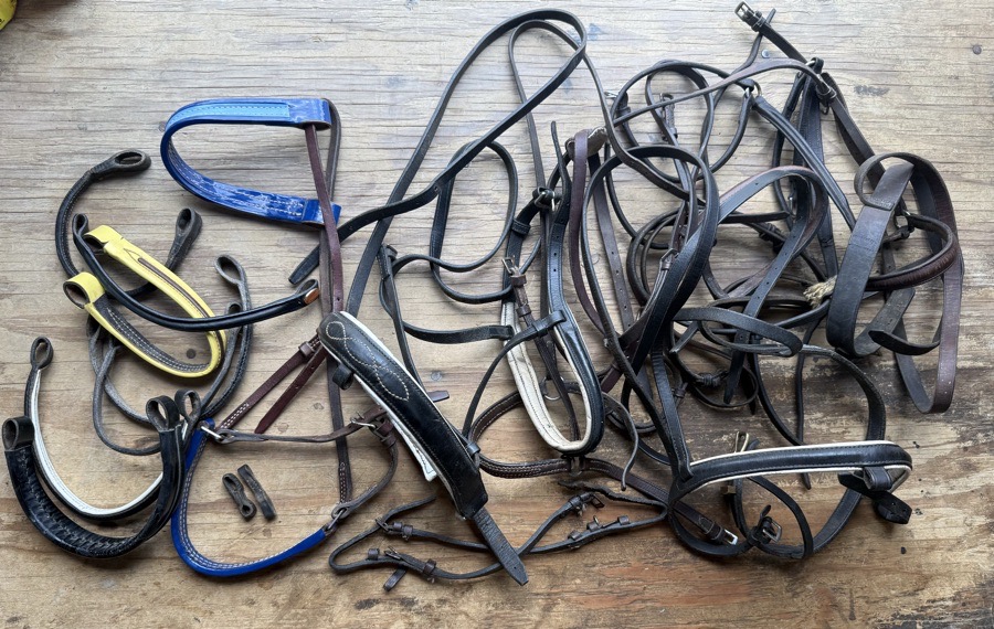 Bridle part lot