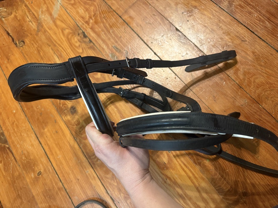 Black cob flash bridle and reins