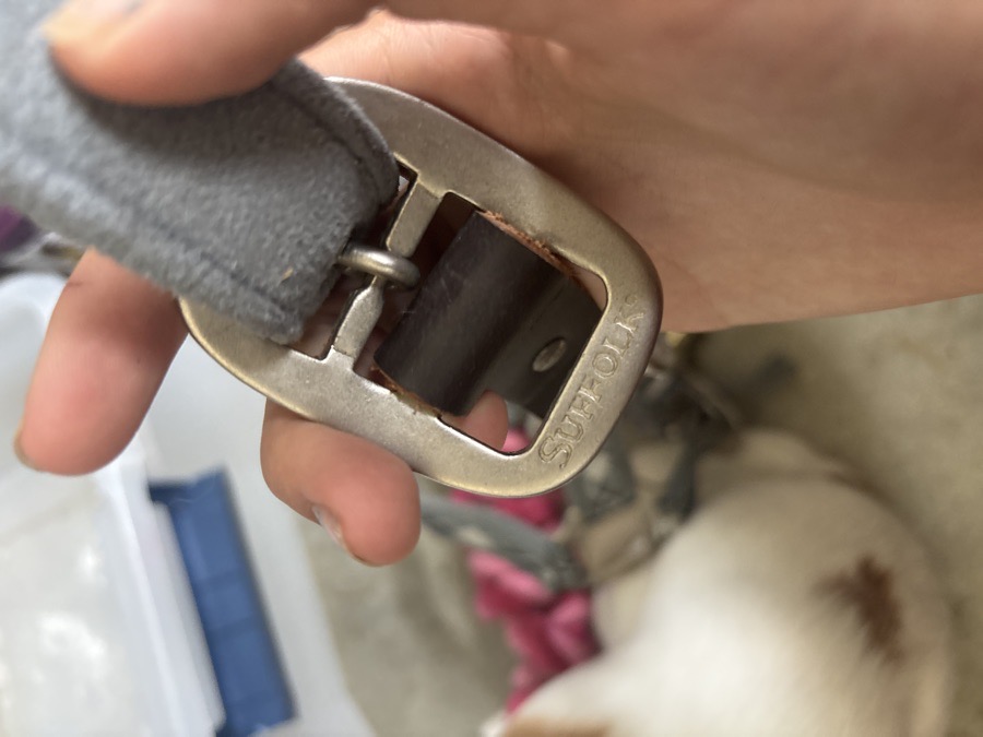 DOVER SADDLERY Halter/Rope Small