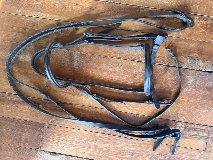 Horse sized bridle and reins