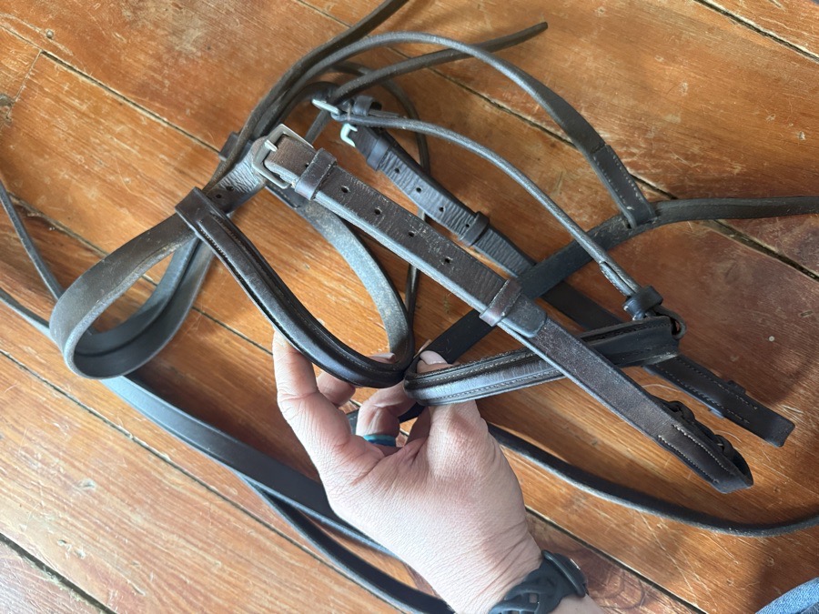 Horse sized bridle and reins