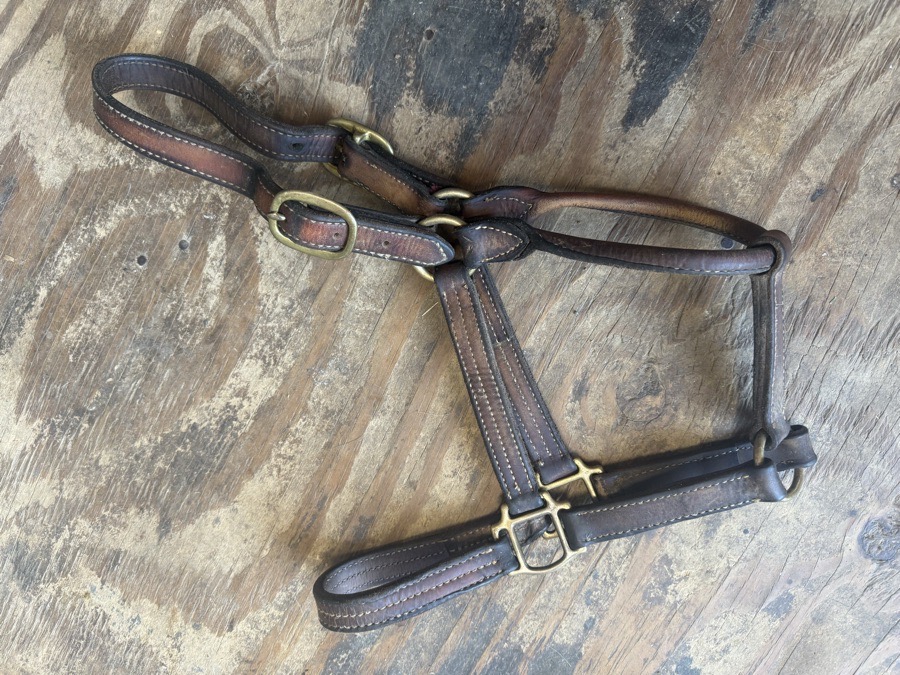 leather halter