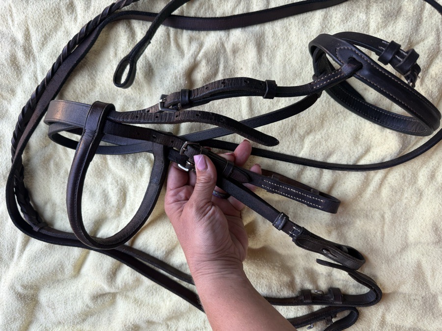 mini pony bridle and reins