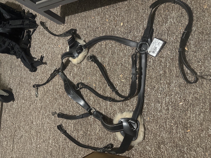 PRO 5 point elastic breastplate martingale 