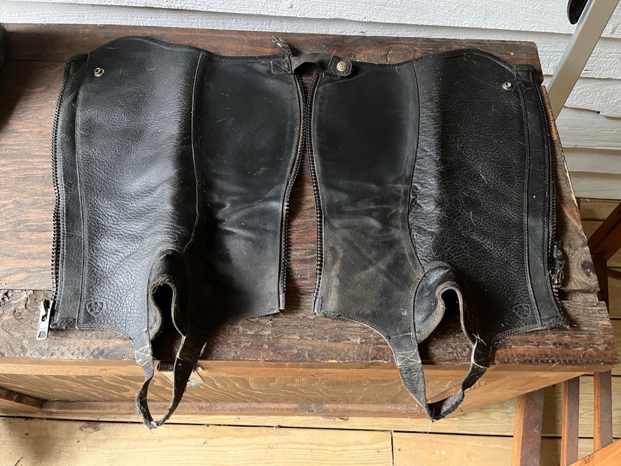 ARIAT black leather half chaps