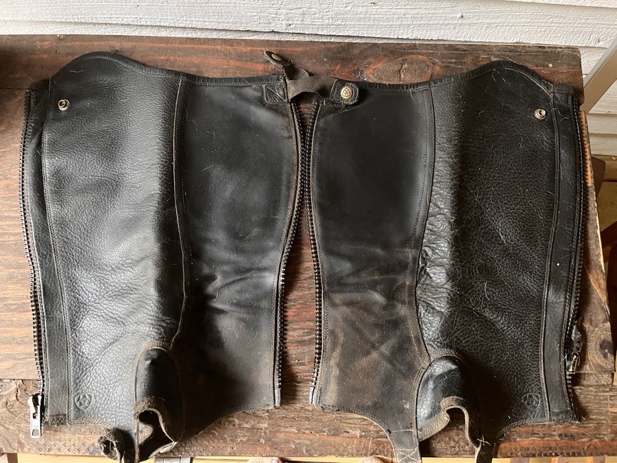 ARIAT black leather half chaps