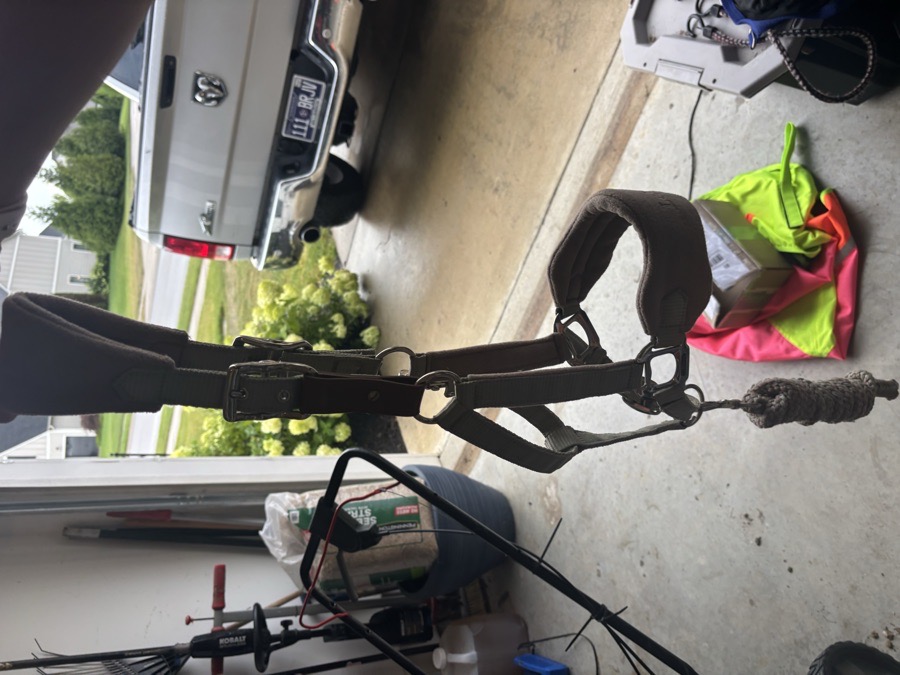 LEMIEUX Fern Halter