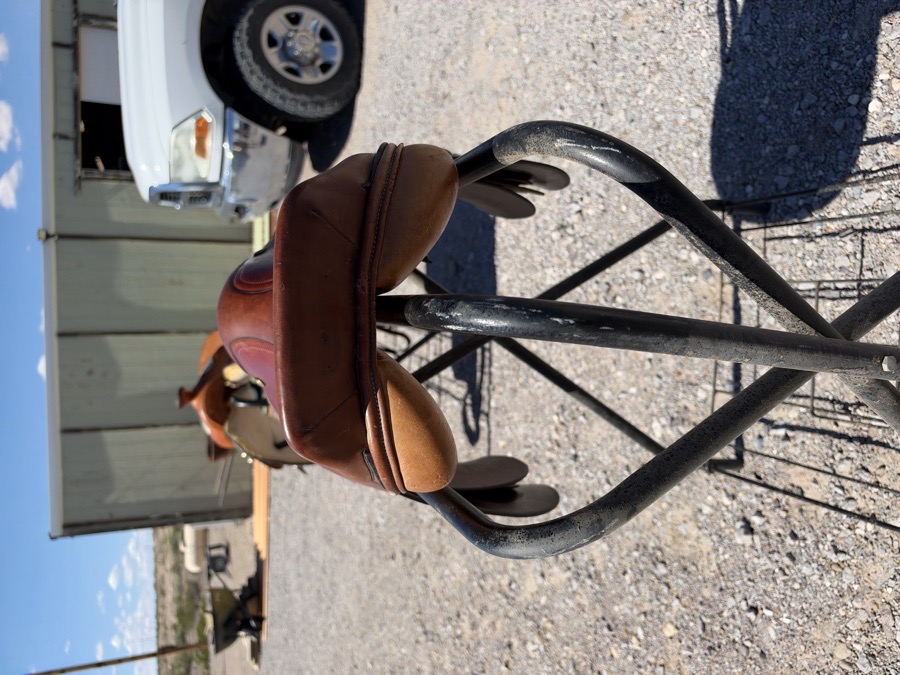 OVATION | 16" | 5" Tree Size | 2010