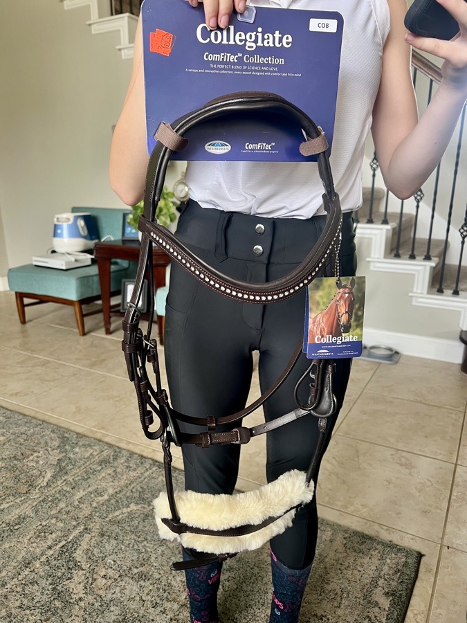 Cob size bridle