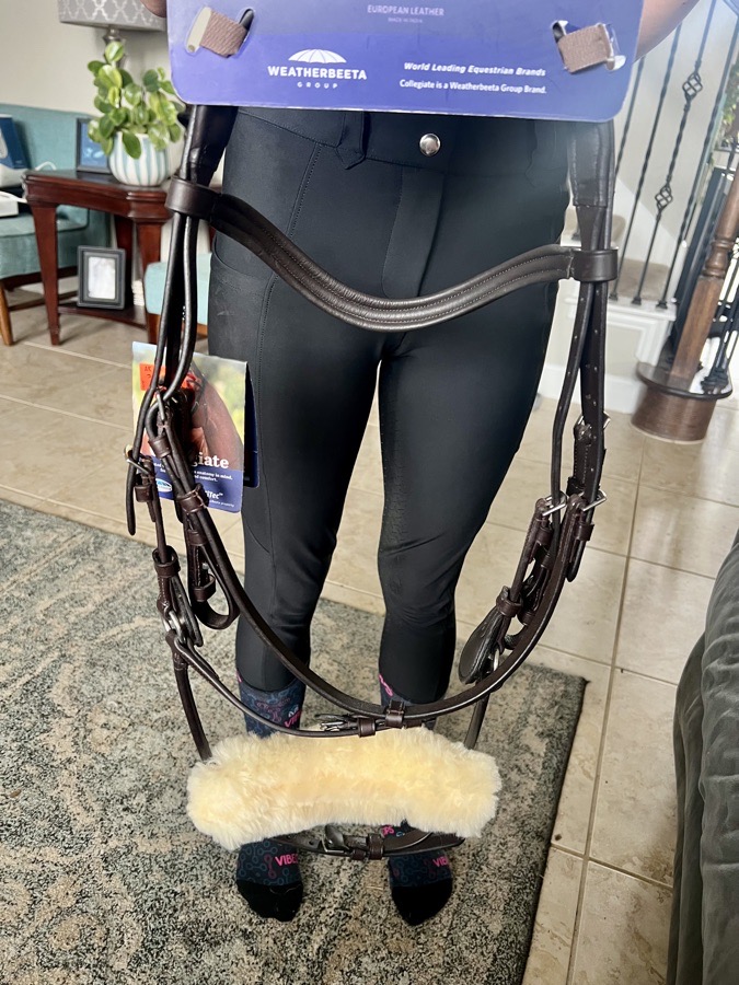 Cob size bridle