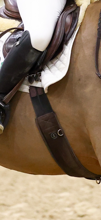 EQUIFIT essentials schooling girth 48”