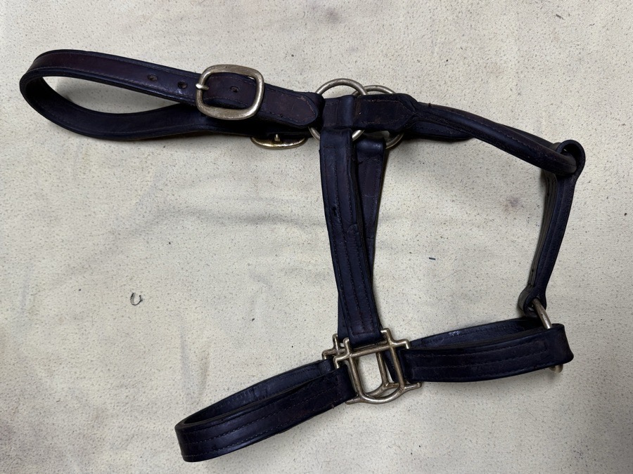 Full sized brown triple stitched leather halter