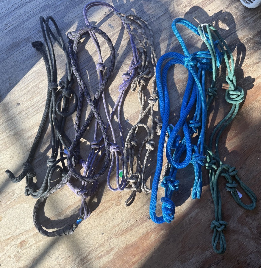 lot of rope halters