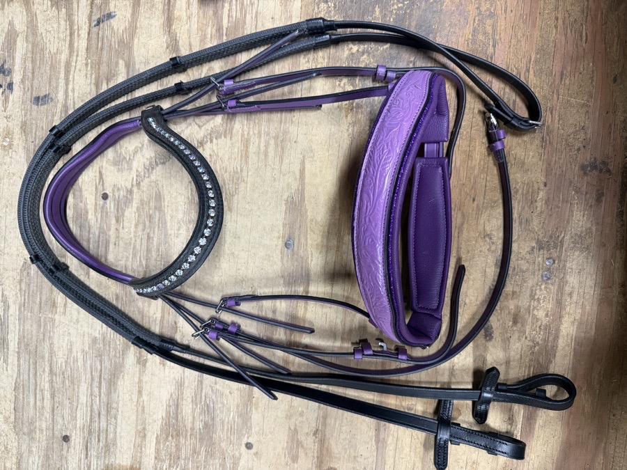 Purple and black cob bridle