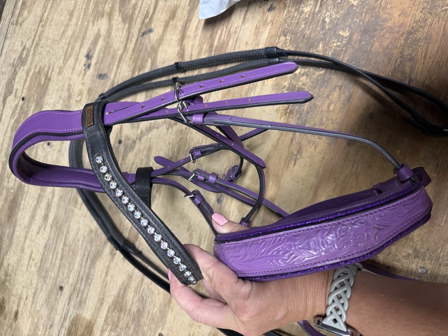 Purple and black cob bridle