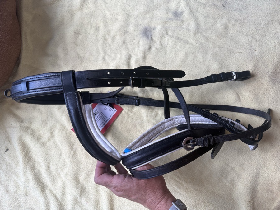 Beautiful black comfort crown bridle
