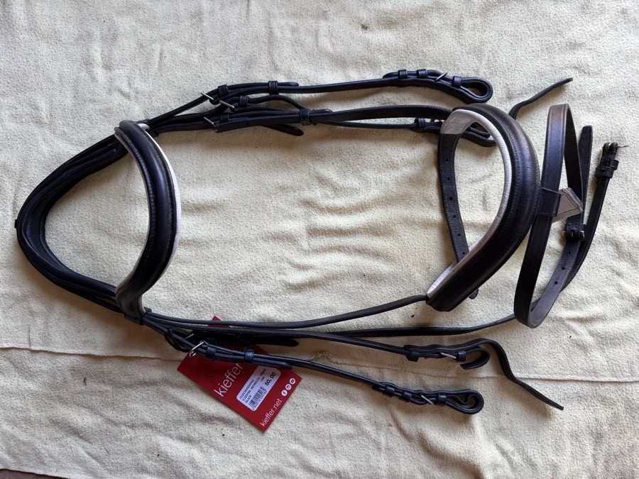 Beautiful black comfort crown double bridle